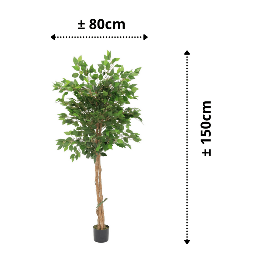 Künstlicher Ficus - 150cm hoch