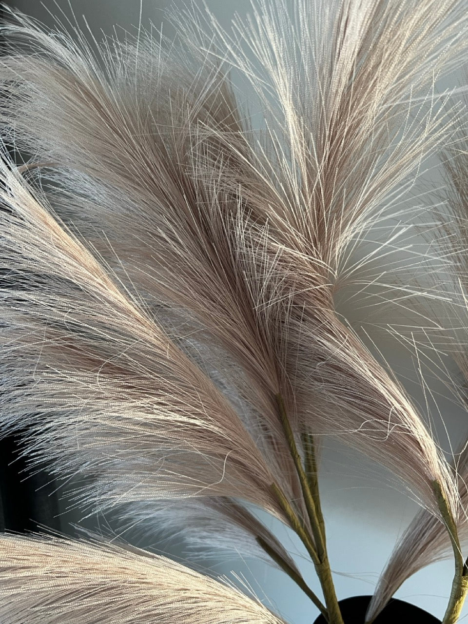 Künstliche Pampasfeder - Taupe - 48 cm hoch