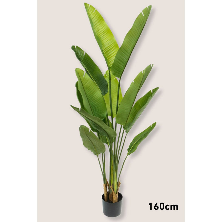 Strelitzia Kunstplantenset -  3 stuks 70/120/160cm