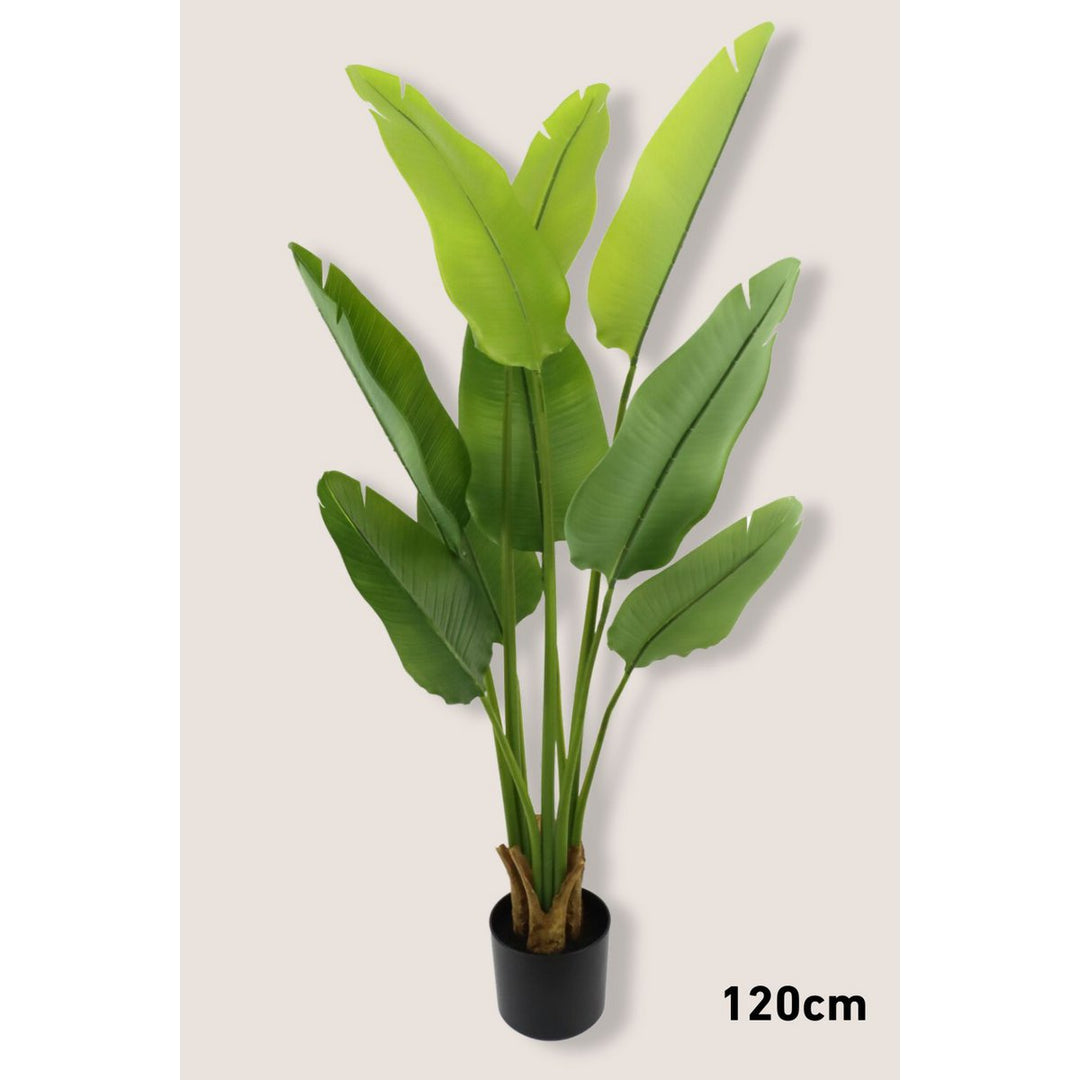 Strelitzia Kunstplantenset -  3 stuks 70/120/160cm