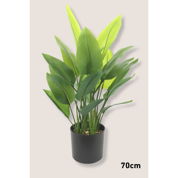 Strelitzia Kunstplantenset -  3 stuks 70/120/160cm