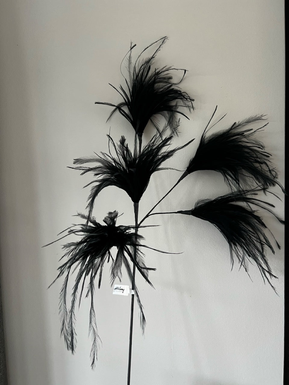 Shop the Look - Schwarze Vase SENUMA mit Federn