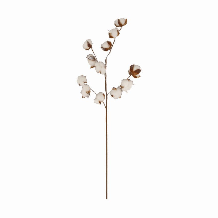 Katoentak met grote bollen  - 77 cm hoog - Bruin/wit