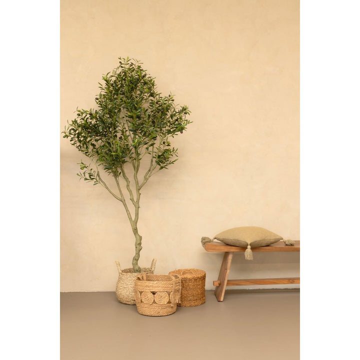 Künstlicher Olivenbaum - 210cm hoch 