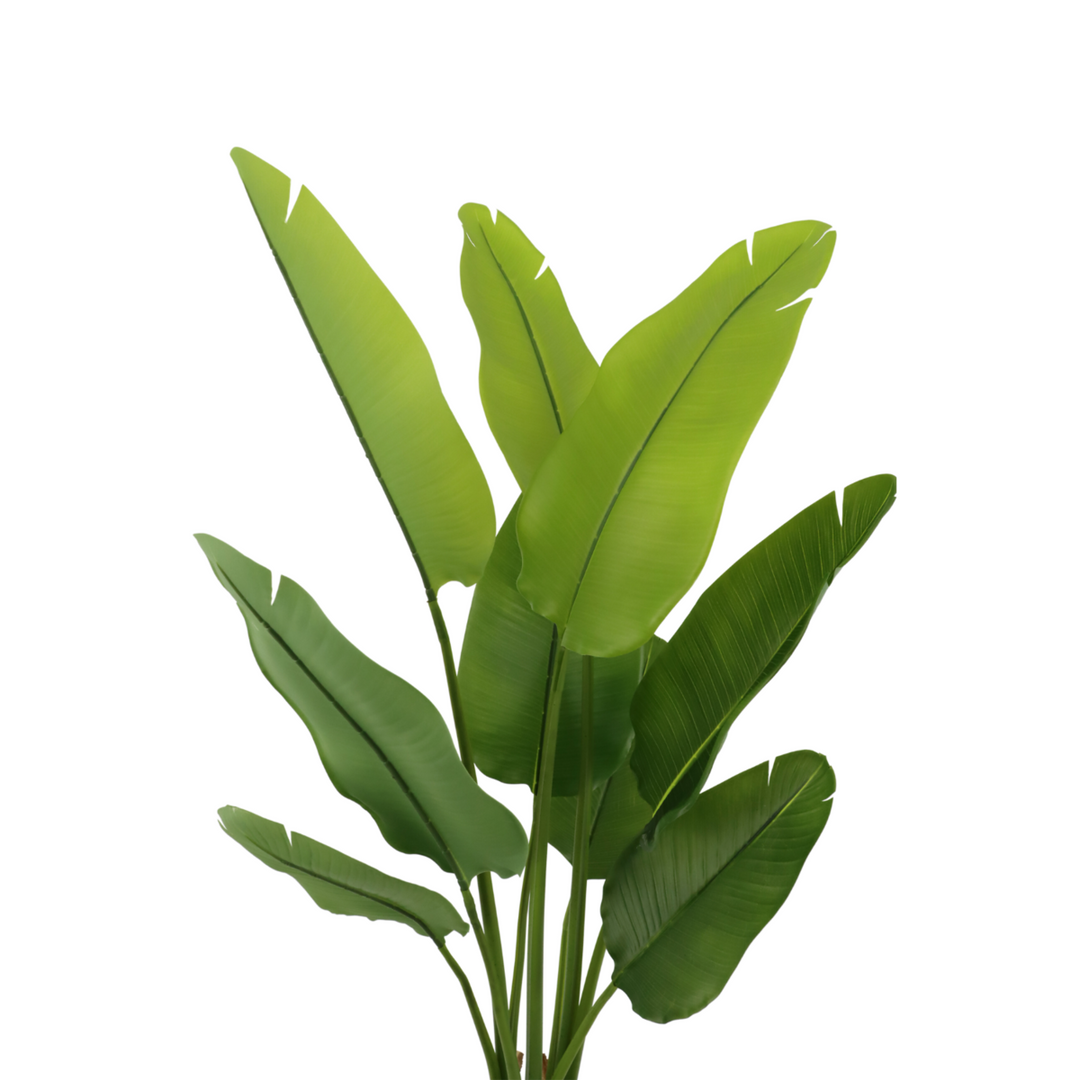 Strelitzia Kunstpflanze - 120cm hoch