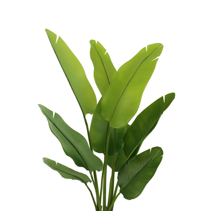 Strelitzia Kunstpflanze - 120cm hoch