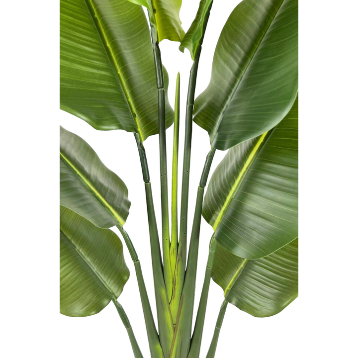 Strelitzia Kunstpflanze - 140cm hoch