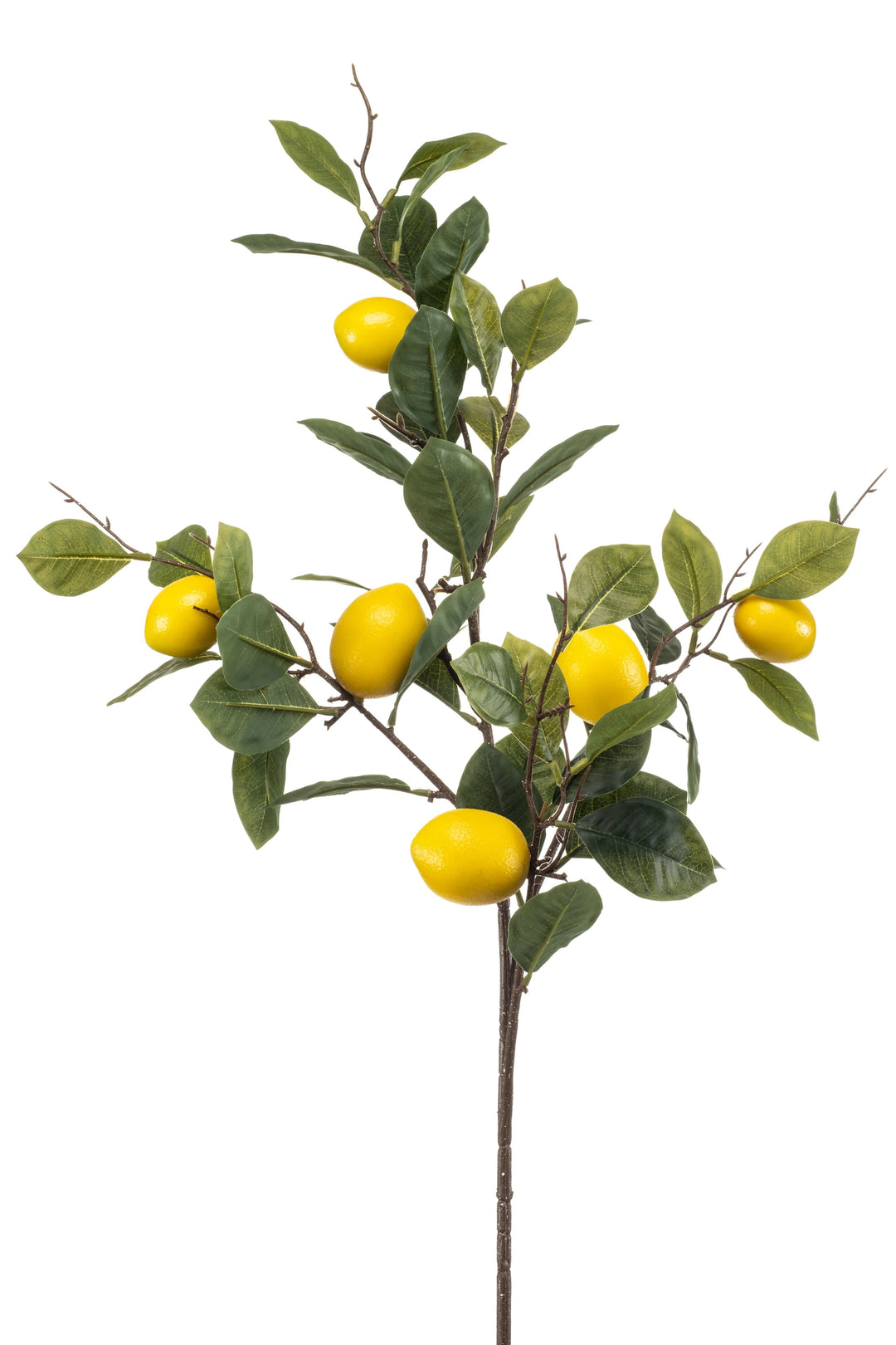 Luxus-Zitronenzweig – 95 cm hoch