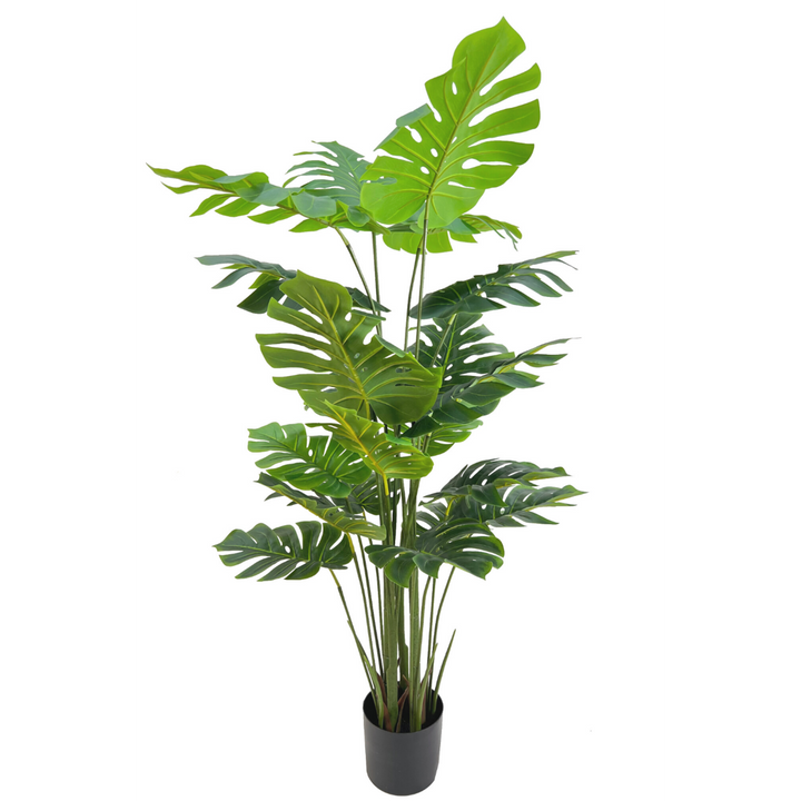 Monstera Madness - Kunstplantenpakket - set van 4 st