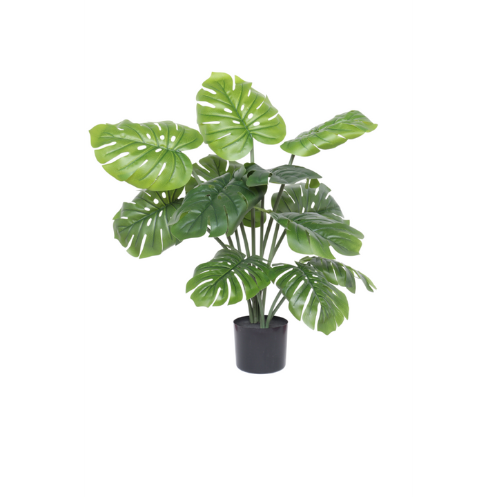 Monstera Madness - Kunstplantenpakket - set van 4 st