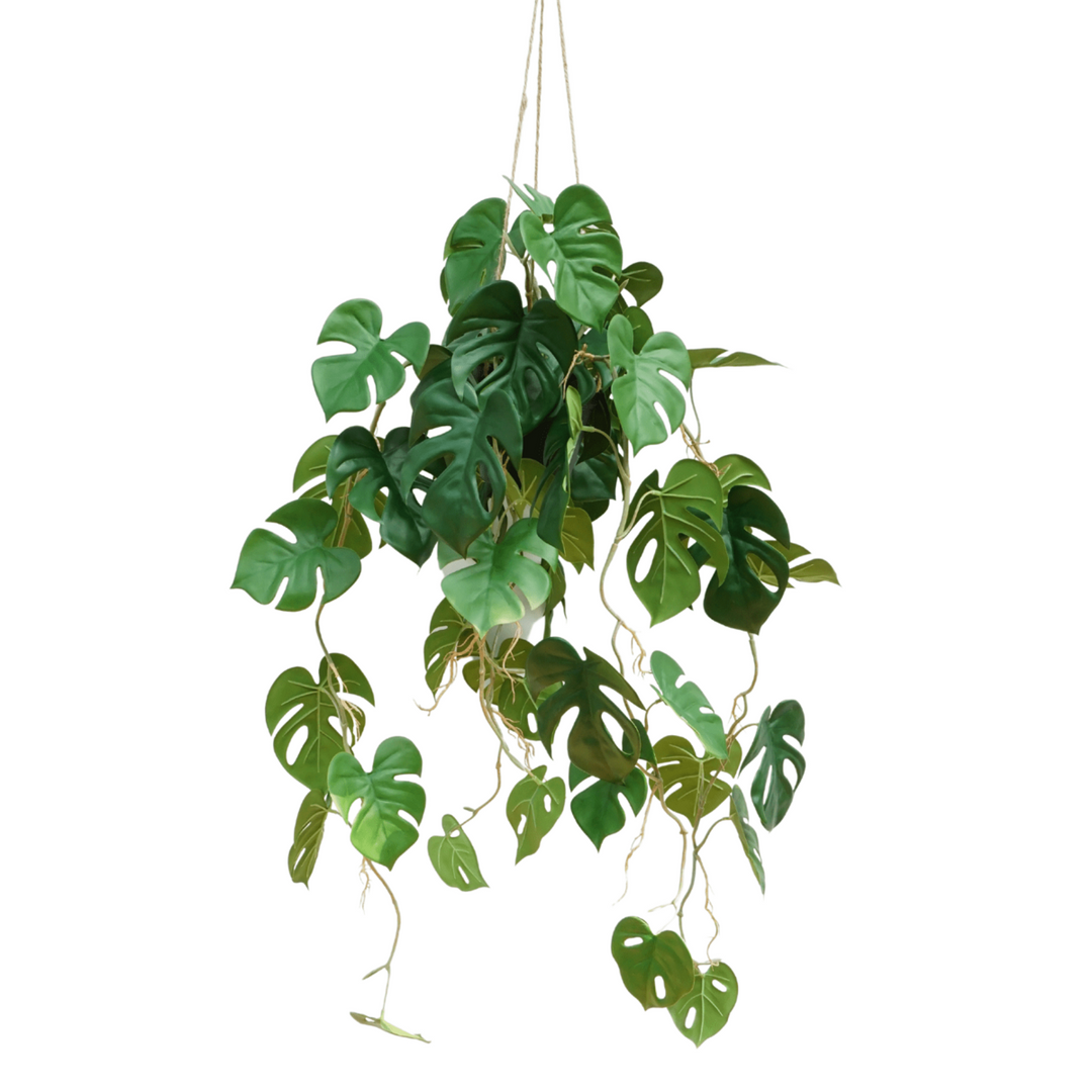 Monstera Madness - Kunstplantenpakket - set van 4 st