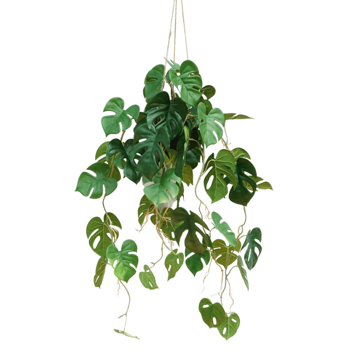 Monstera Madness - Kunstplantenpakket - set van 4 st