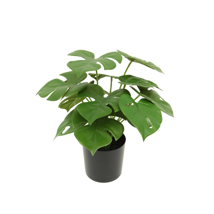 Monstera Madness - Kunstplantenpakket - set van 4 st