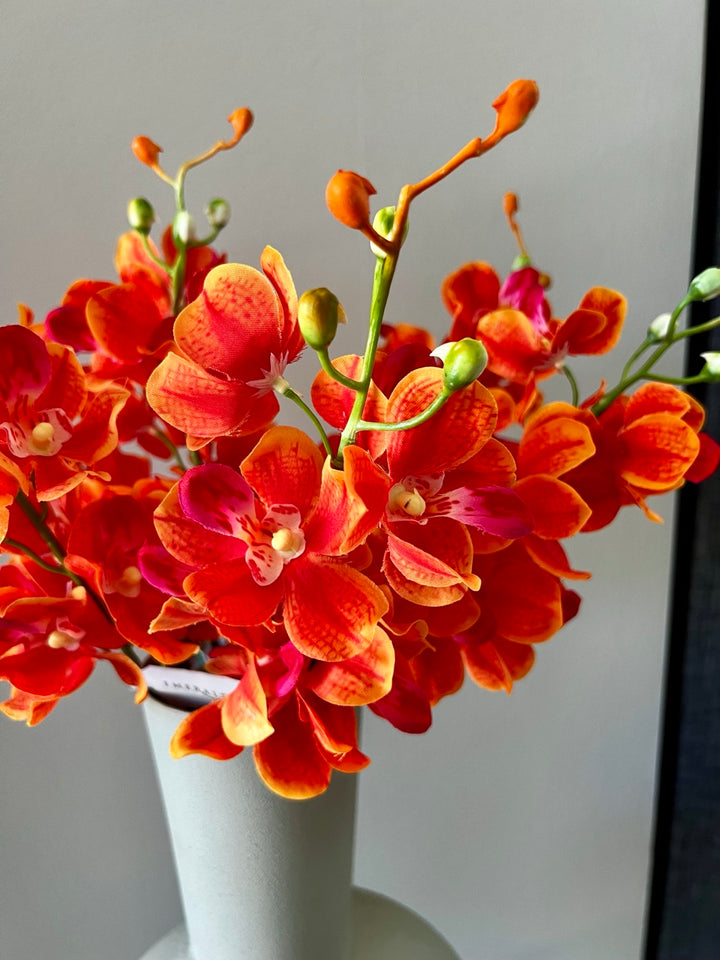 Orchidee (Mokara) tak - 54 cm hoog - Oranje