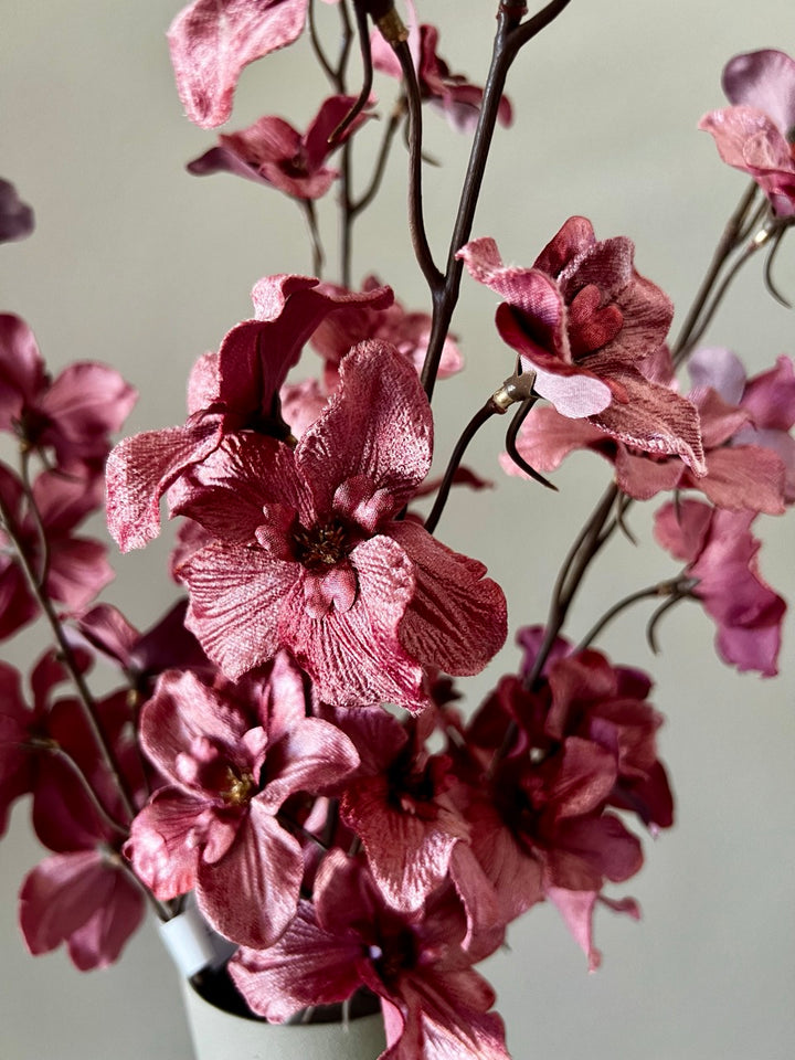 Ridderspoor (Delphinium) glamour - 87 cm hoog - Roze