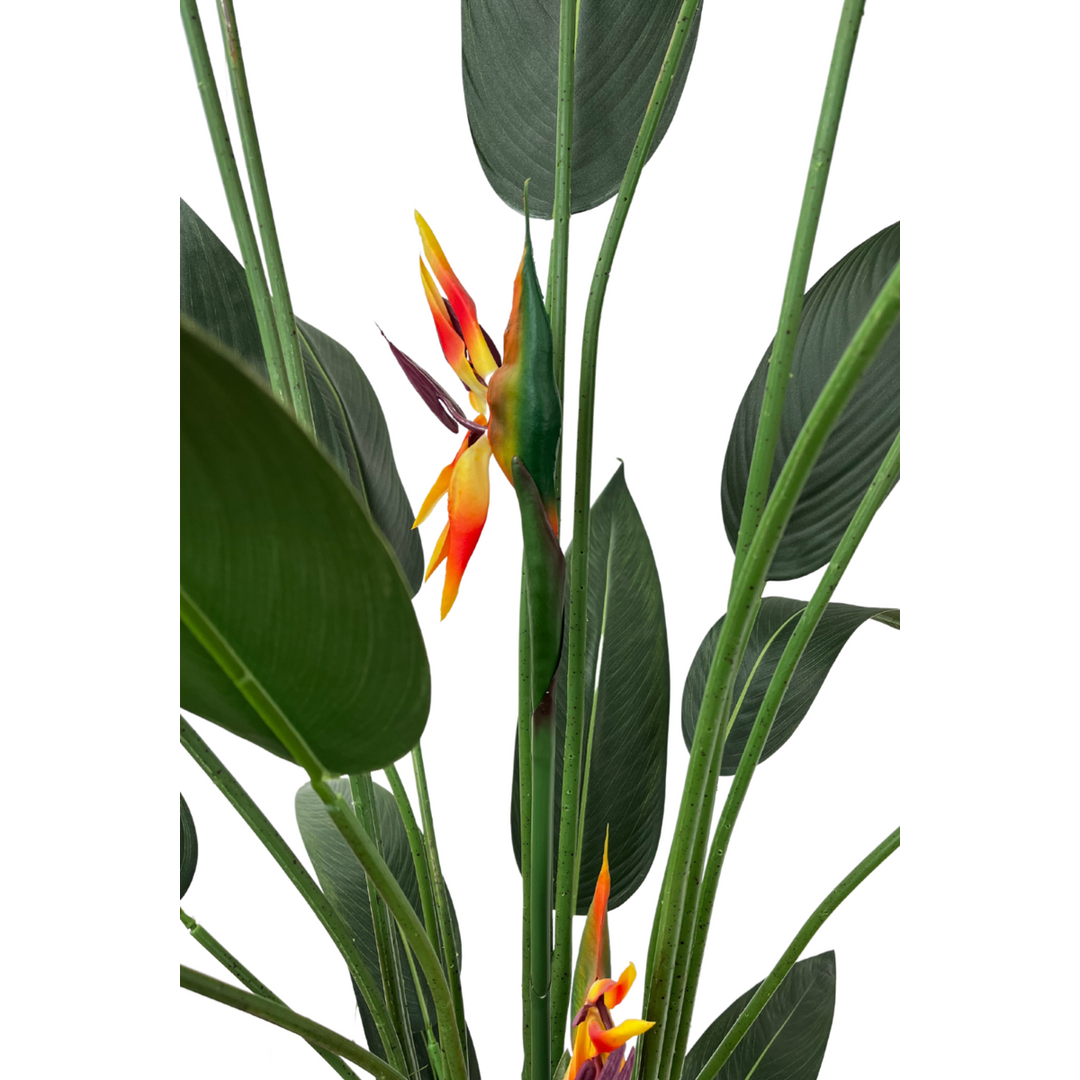Strelitzia Kunstplant Met Bloem - 180cm hoog