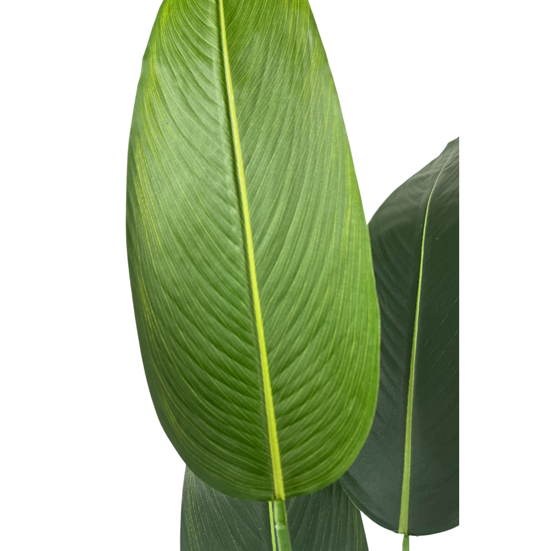 Strelitzia Kunstplant Met Bloem - 180cm hoog