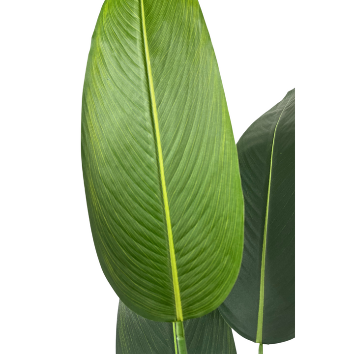 Strelitzia Kunstplant Met Bloem - 180cm hoog