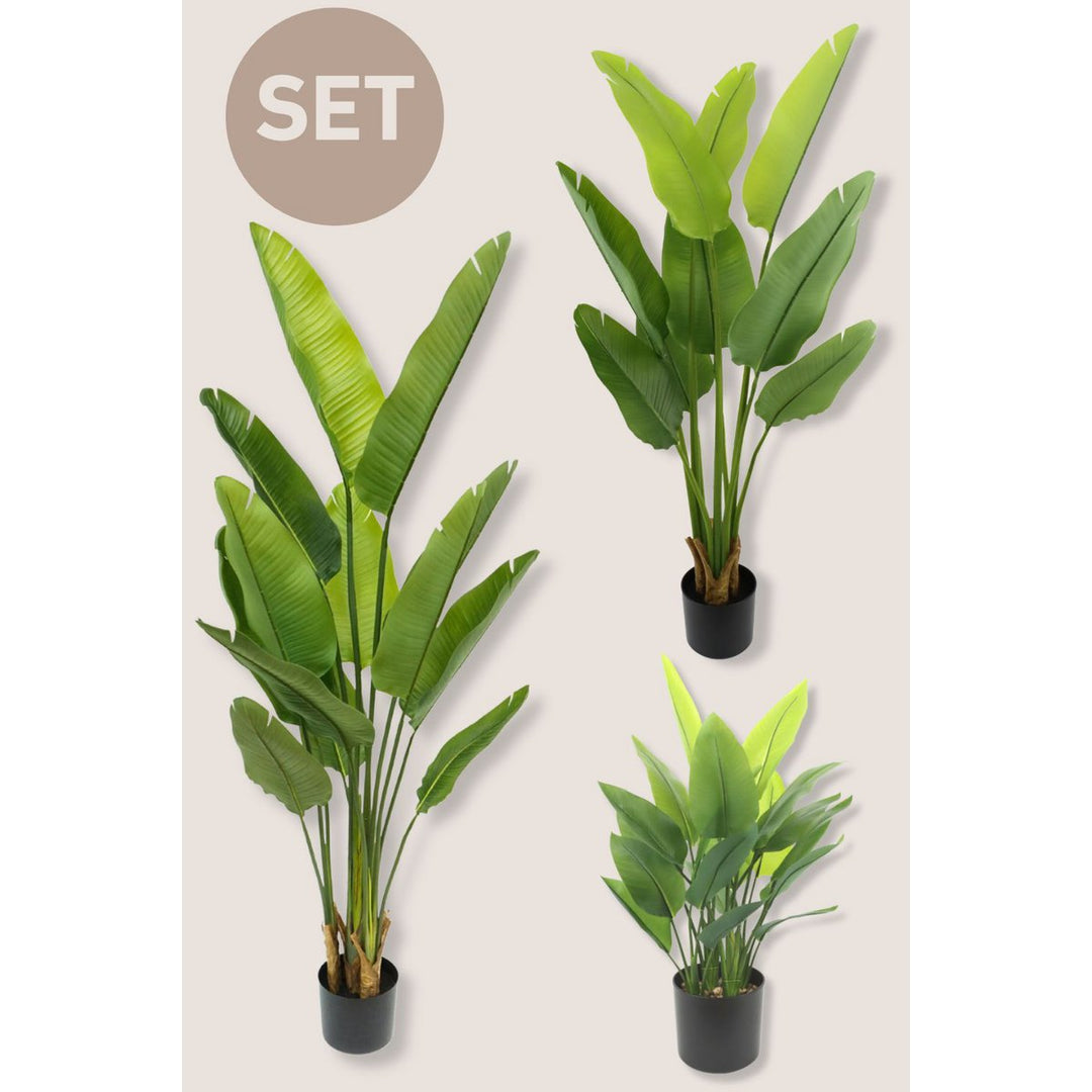 Strelitzia Kunstplantenset -  3 stuks 70/120/160cm