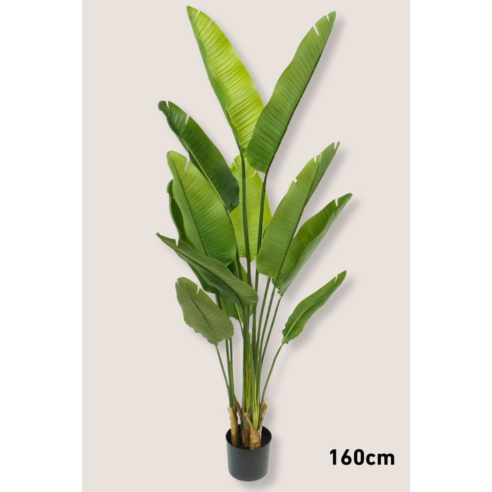 Strelitzia Kunstplantenset -  3 stuks 70/120/160cm