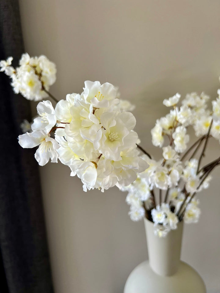 Zweig Japanische Zierkirsche (Prunus Malaga) - 84 cm hoch - Creme