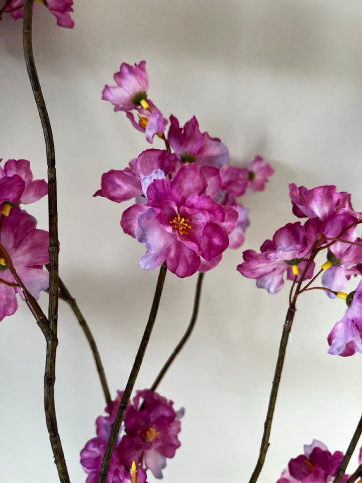 Zweig Japanische Zierkirsche (Prunus Malaga) - 84 cm hoch - Lavendel