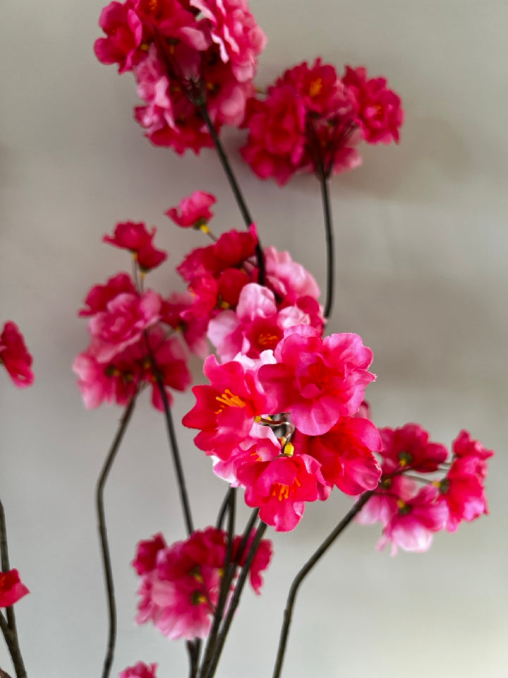 Zweig Japanische Zierkirsche (Prunus Malaga) - 84 cm hoch - Rot/Rosa