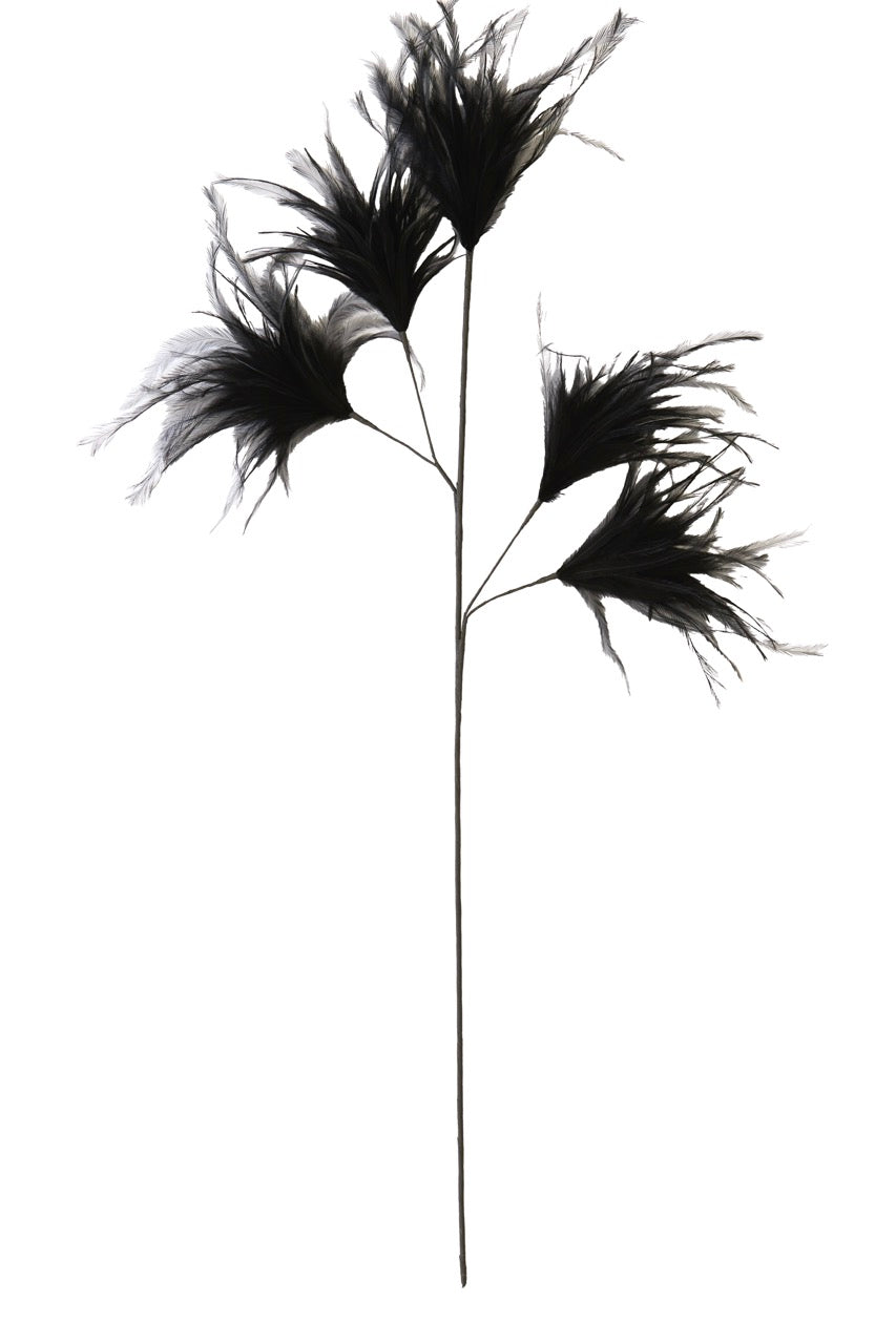 Veren pluim XL - 95 cm - Zwart