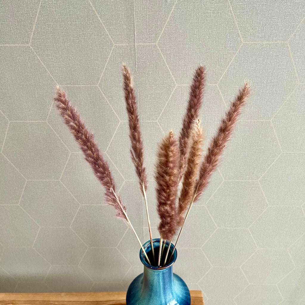 Gedroogde bloemen - pampas pluimen - paars 6 stuks - 65/75 cm