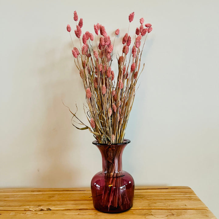 Droogbloemen bundel 'Phalaris' nature - ↑76 cm - roze