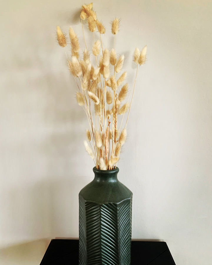 Droogbloemen bundel 'Lagurus'  - ↑65 cm - naturel