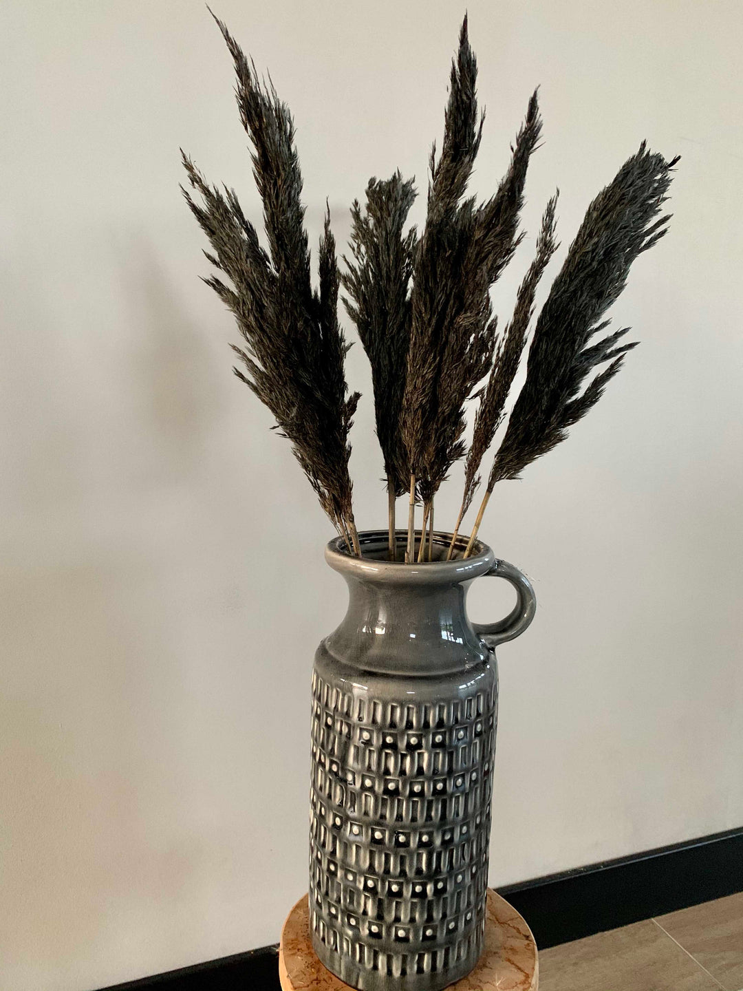 Sfeerfoto pampas zwart